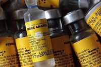 o atual esquema de vacinas para adultos ocorre com a aplicação de duas doses da vacina contra a febre amarela (Foto: Reprodução)