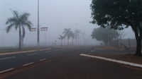 Neblina atrapalhou a visibiladade de motoristas na manhã desta sexta-feira em Pereira Barreto — Foto: Arquivo Pessoal/Flávio Valle