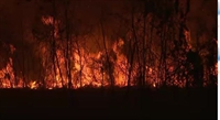 Paredão de fogo se estende por mais de 100 metros em área no interior do Acre — Foto: Reprodução/Rede Amazônia Acre