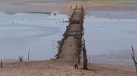 Seca revelou estrada boiadeira construída na década de 50 em Guaraci (Foto: Reprodução/TV TEM)