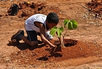 (Foto: Divulgação/Saev Ambiental)