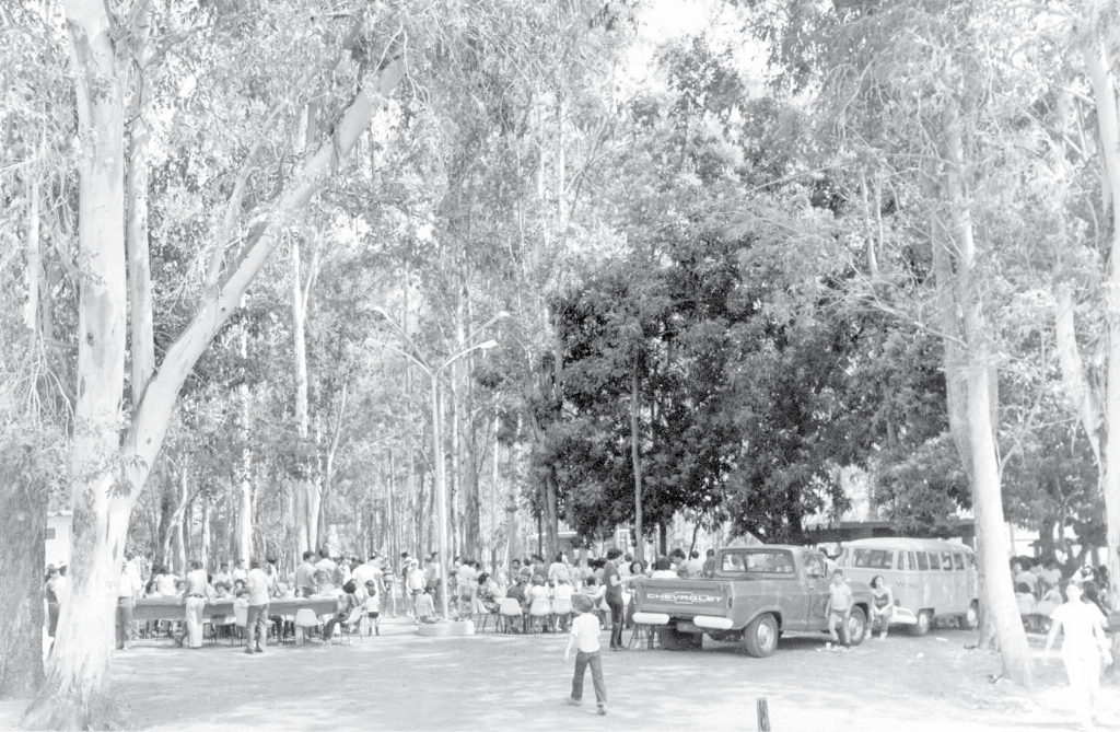 Levantamos uma foto panorâmica registrada no Horto Florestal nos anos 70. Consta que naquele dia a reserva florestal foi aberta para a comemoração do Dia das Crianças, havendo uma grande movimentação no local. O Horto Florestal já foi palco de memoráveis encontros festivos, inclusive com recepção para autoridades visitantes e até festa de confraternização do funcionalismo público